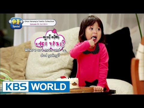 The Return Of Superman - Choo Sarang Special Ep.20